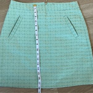 The Limited Mint Green A-Line Geometric Textured Exposed Zipper Skirt  SZ 4